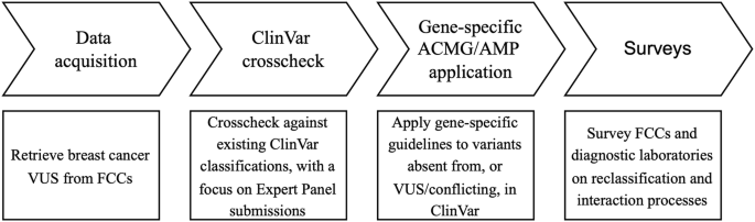 Unknown function for breast cancer risk variants identified in a nationwide survey of Australian family cancer centers - European Journal of Human Genetics